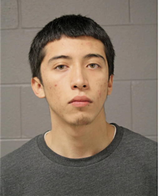 JONATAN RAMIREZ, Cook County, Illinois