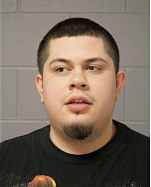 JOSE G RAMIREZ, Cook County, Illinois