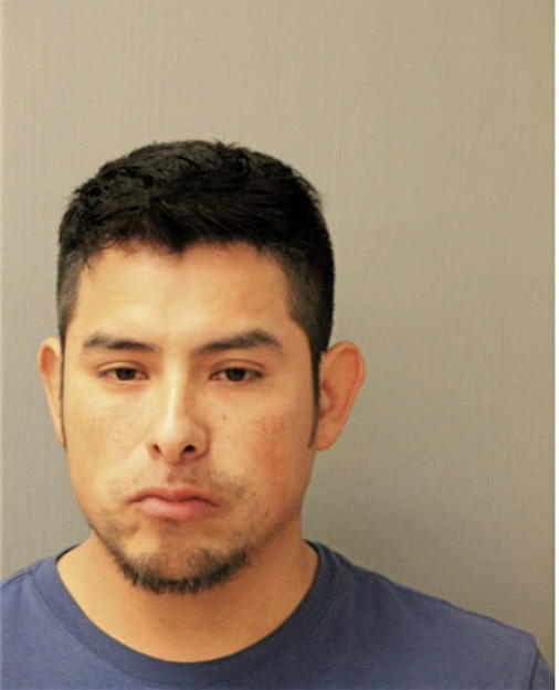 JAMIE SERDAN, Cook County, Illinois