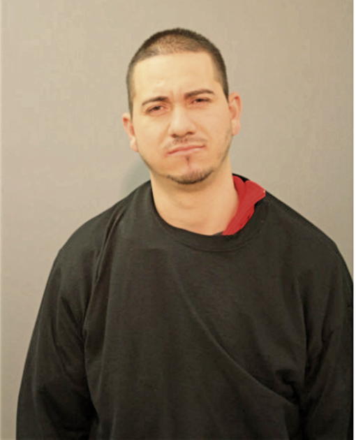 NELSON SOLIZ-VIDAL, Cook County, Illinois