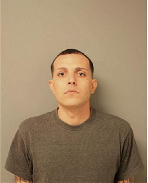 CENIEL TORRES, Cook County, Illinois