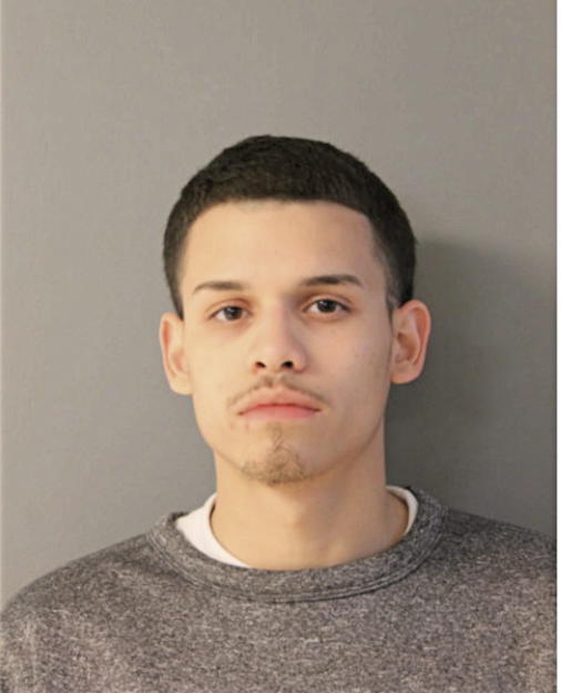 ADRIAN J TREJO, Cook County, Illinois