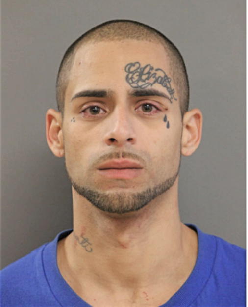 JOSE L VALLEJO, Cook County, Illinois