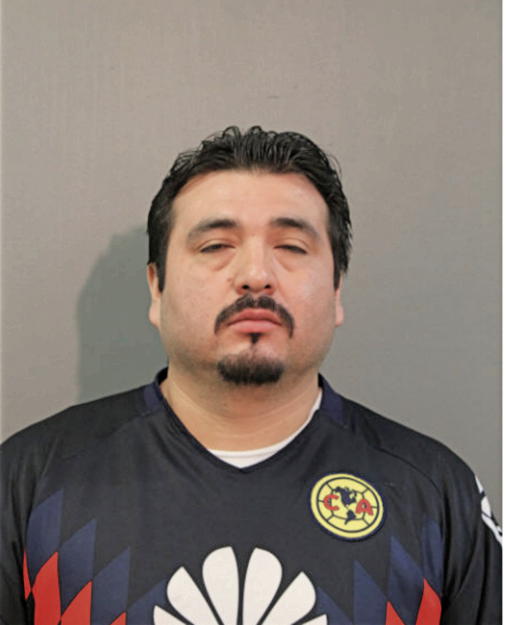 AUDEL VARGAS, Cook County, Illinois