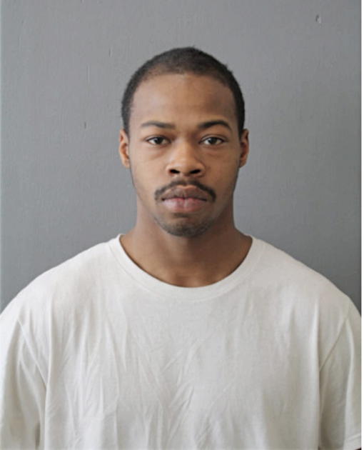 JOHNNIE J WILLIAMS, Cook County, Illinois