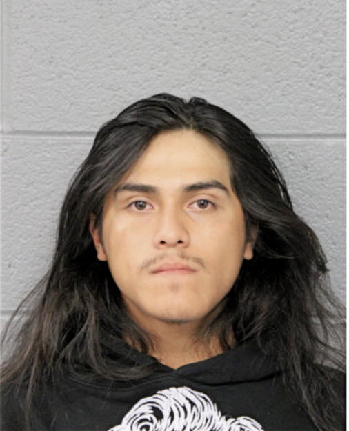 ESTEBAN ANDRADE, Cook County, Illinois