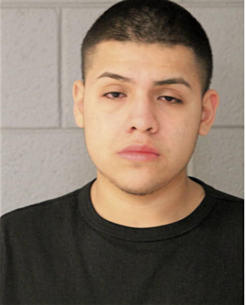 MARCO A CASTREJON, Cook County, Illinois