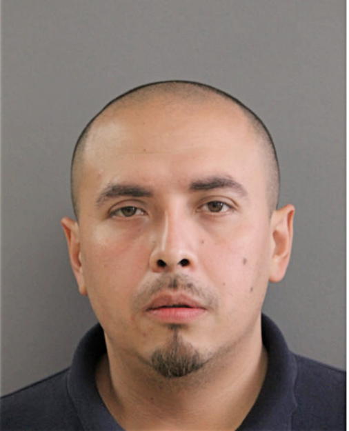 JOSE P GARCIA, Cook County, Illinois