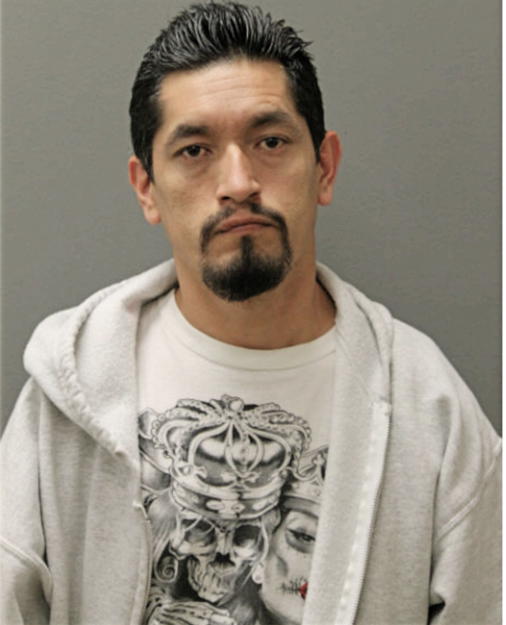 REYNEL GARCIA, Cook County, Illinois