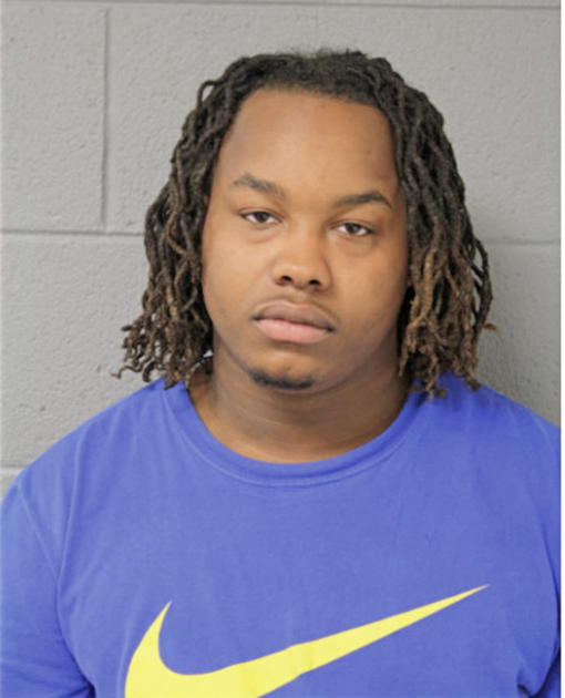 LARNELL L LOVE, Cook County, Illinois