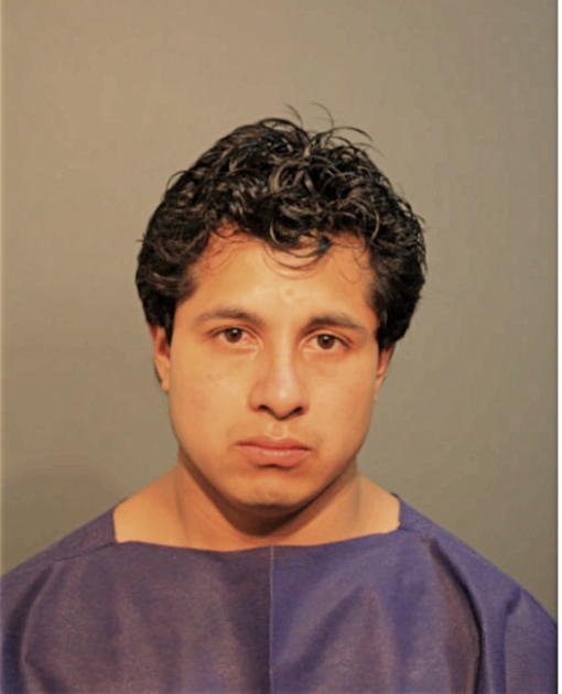 JOSE F MENDOZA, Cook County, Illinois