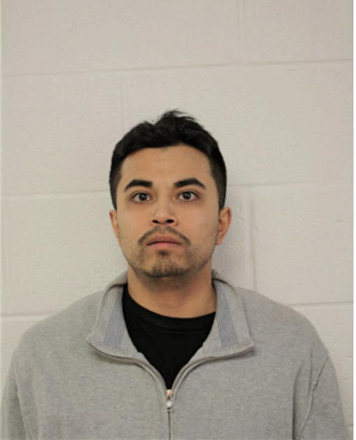 RICHARD F NAVA-WHITE, Cook County, Illinois