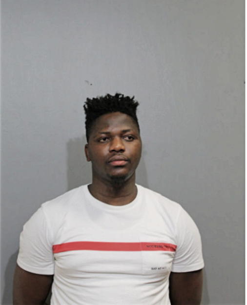 BADMUS OLALEKAN, Cook County, Illinois