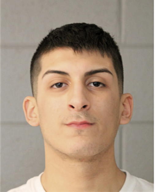 ALEXIS PULIDO, Cook County, Illinois