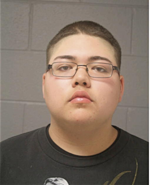 ERIC M RICO, Cook County, Illinois