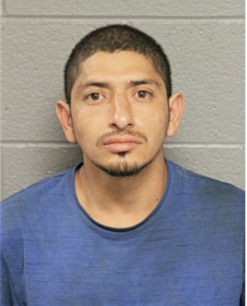 JULIO CESAR RUIDIAS, Cook County, Illinois