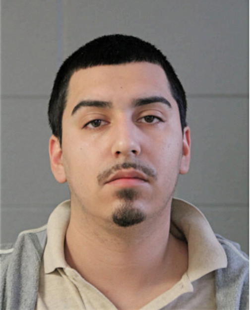 MICHAEL A VERA HERNANDEZ, Cook County, Illinois