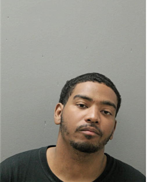 MICHAEL L WHEELER, Cook County, Illinois