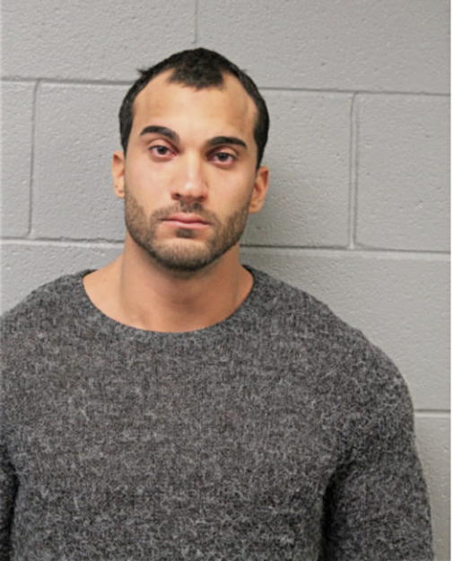 ABDALLAH ABDALHAMID, Cook County, Illinois