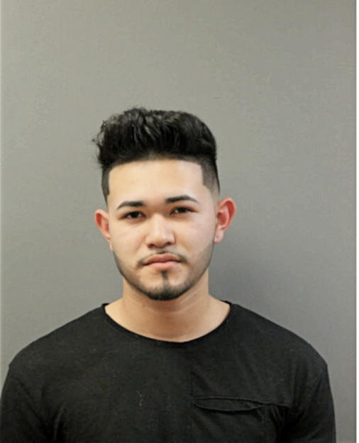 AMADOR F ALMARAZ-RUIZ, Cook County, Illinois