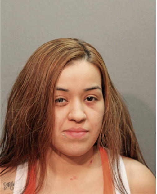 ASHLEY L BRUNO, Cook County, Illinois