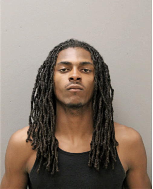ALLANTE L DAVIS, Cook County, Illinois