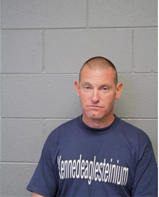 MICHAEL L DAVIS, Cook County, Illinois