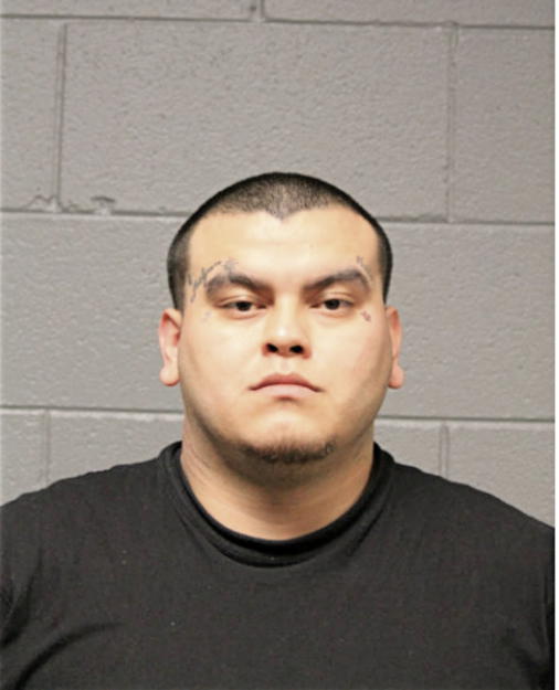 NIKO I DELGADO, Cook County, Illinois
