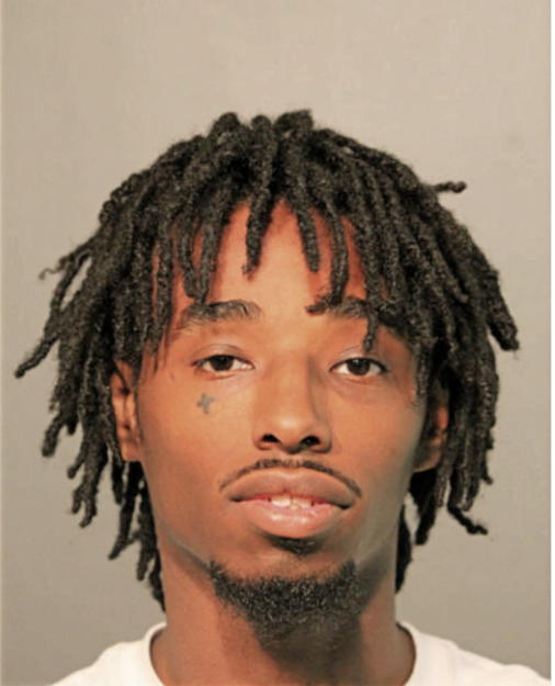 BRUCE P GALIMORE, Cook County, Illinois