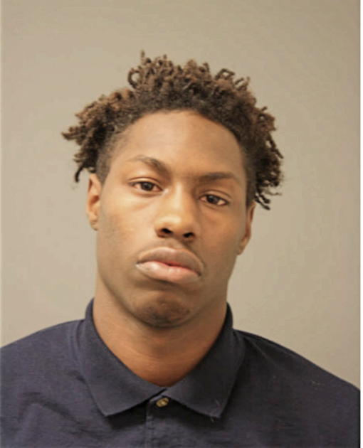 DAVID L HILL, Cook County, Illinois