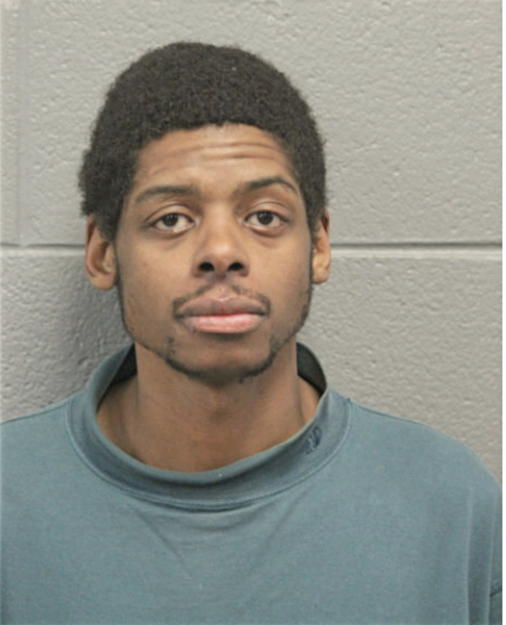 DAMIEN M HOPKINS, Cook County, Illinois