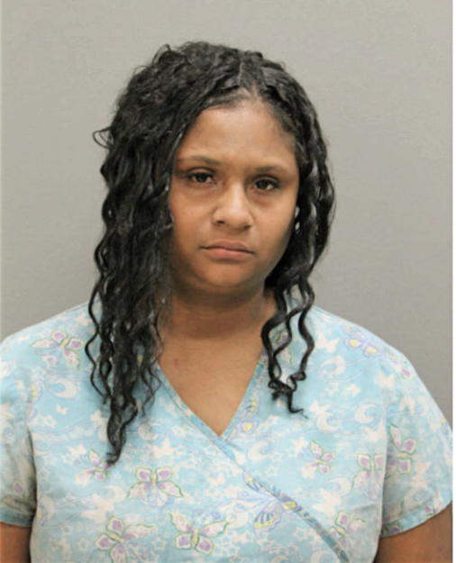 MICHELLE A JOHNSON, Cook County, Illinois