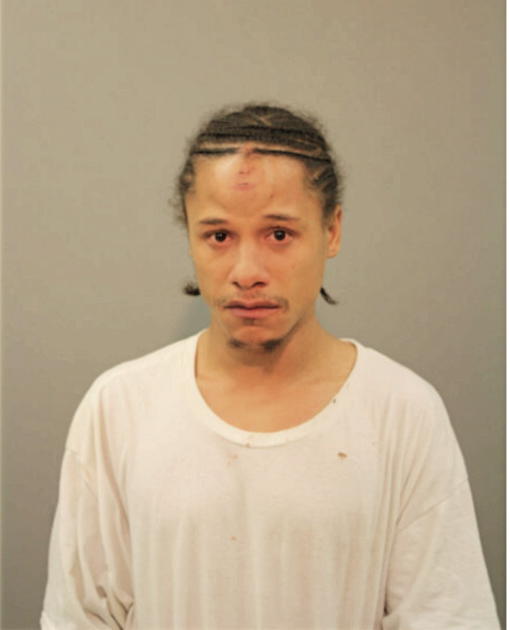 STEVEN E JOHNSTON, Cook County, Illinois