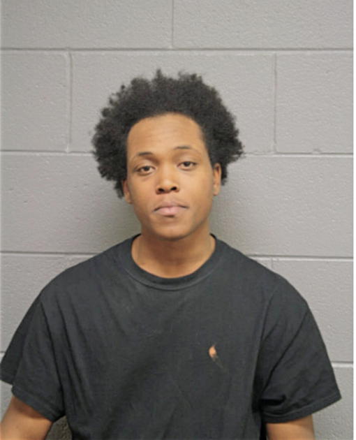 DERRICK L KING, Cook County, Illinois