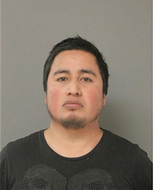 JAVIER MATEO, Cook County, Illinois