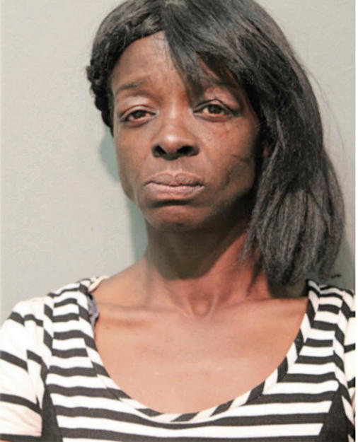 DIANNA M NELSON, Cook County, Illinois