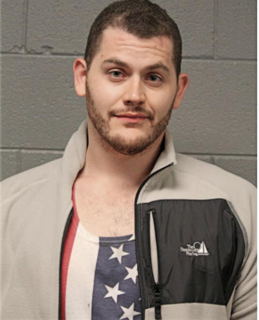 DERRICK J NEWSOME, Cook County, Illinois