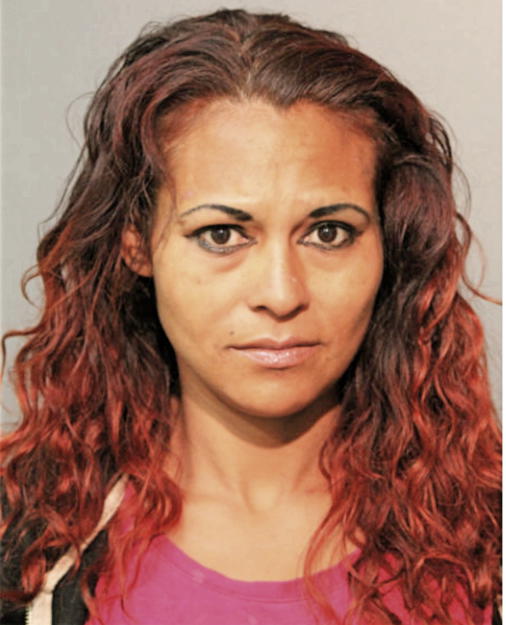 MAVIS NUNEZ, Cook County, Illinois