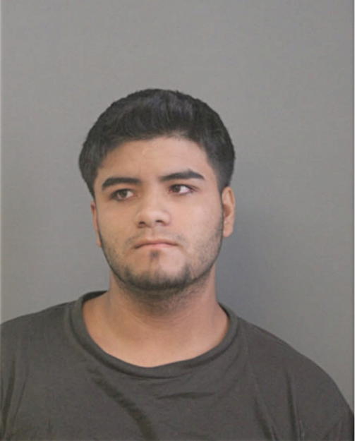 RICARDO E ORTIZ, Cook County, Illinois