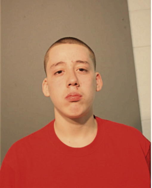 HEBERT A PULGAR, Cook County, Illinois