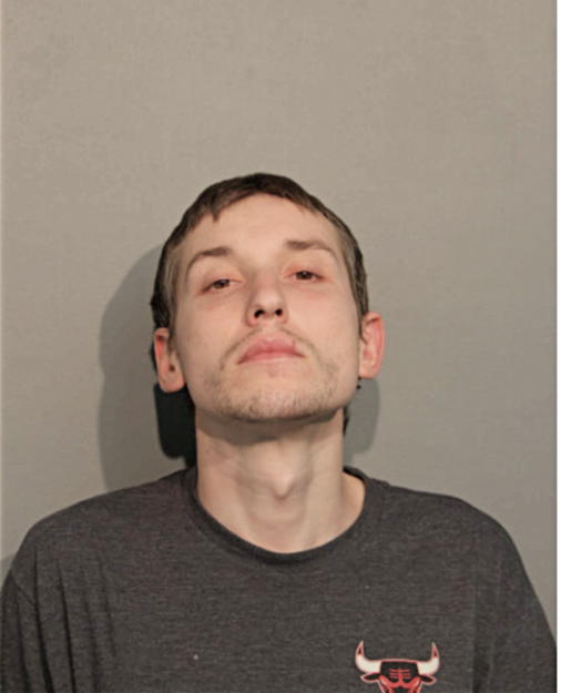 DAMIAN S RAMOCKI, Cook County, Illinois
