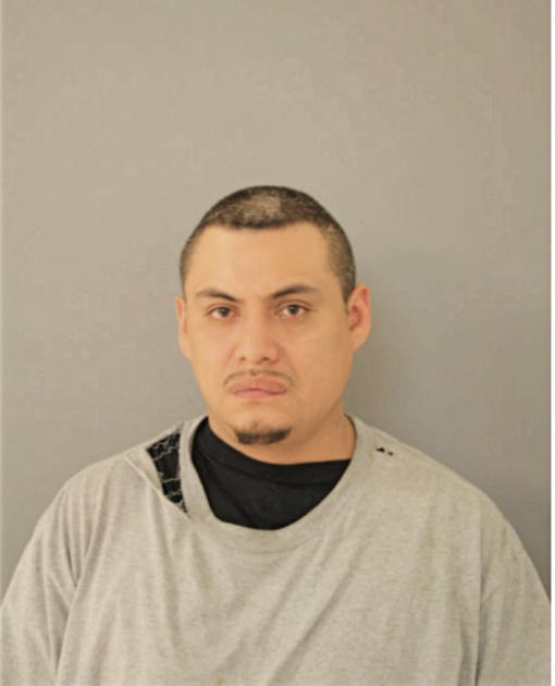 ADOLFO O REYES, Cook County, Illinois