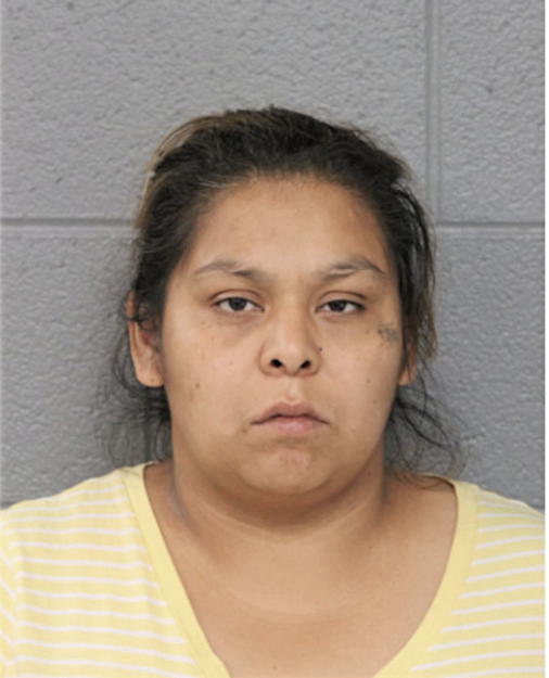 LYNN M ROCHA, Cook County, Illinois
