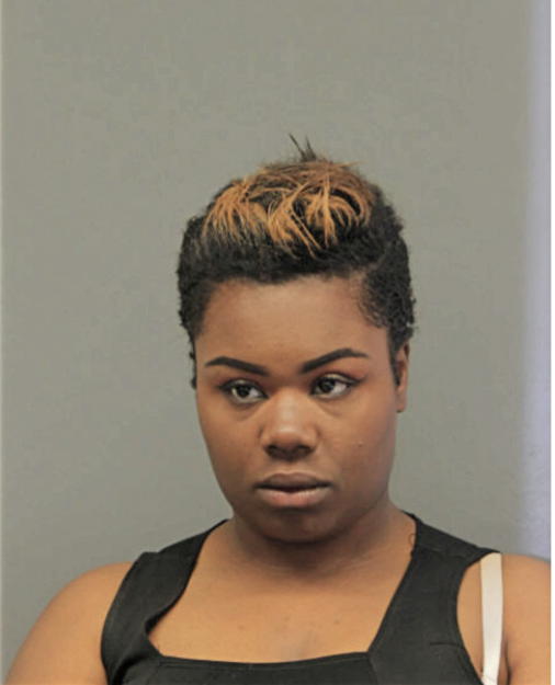 KARION T ROUSSEAU, Cook County, Illinois