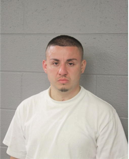 OSMAR RUIZ, Cook County, Illinois