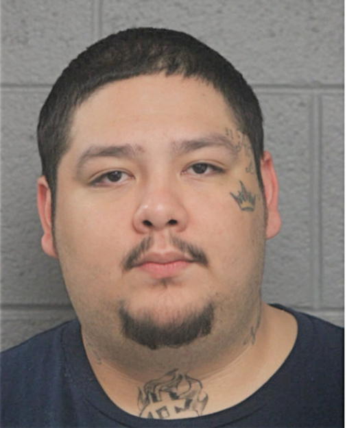 DAVID G SALINAS, Cook County, Illinois