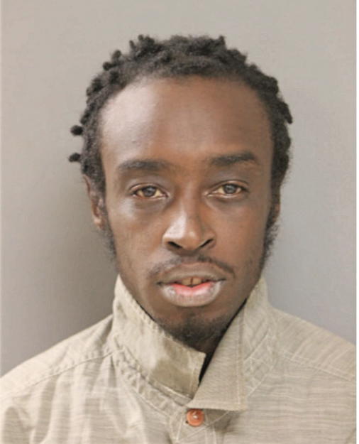 JAMAYEL A TILLMAN, Cook County, Illinois