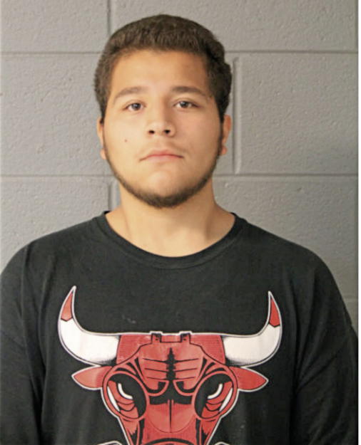 FELIPE J ACEVEDO, Cook County, Illinois