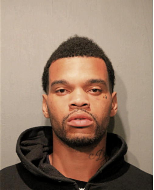DOMINIC D CHAPMAN, Cook County, Illinois