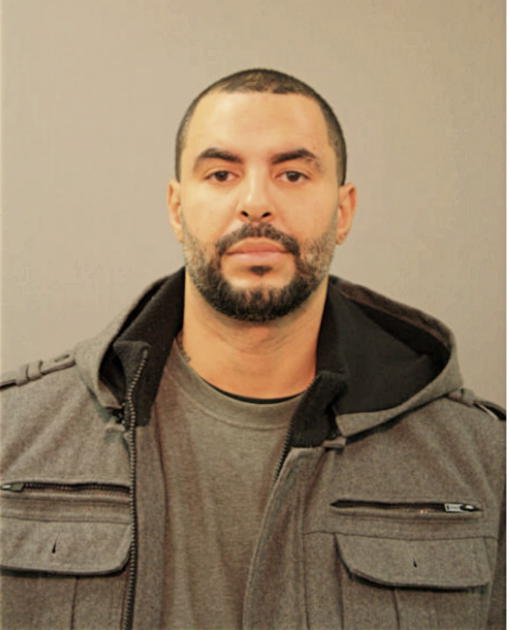 MICKEY L DAVIS, Cook County, Illinois